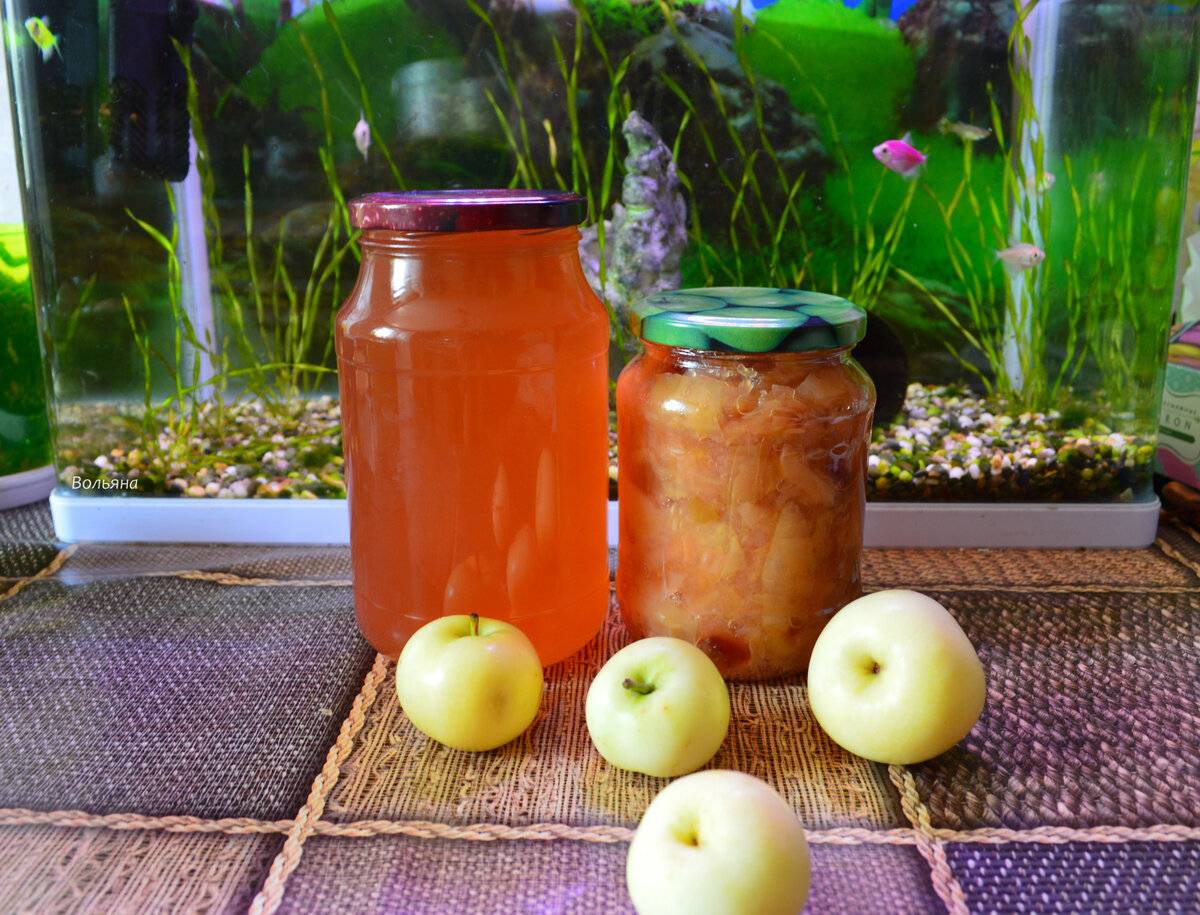 Яблочный сок на зиму в домашних условиях — простые рецепты