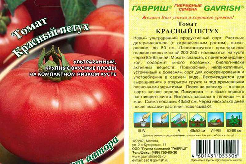 Характеристика урожайного томата Красный петух и подробное описание сорта