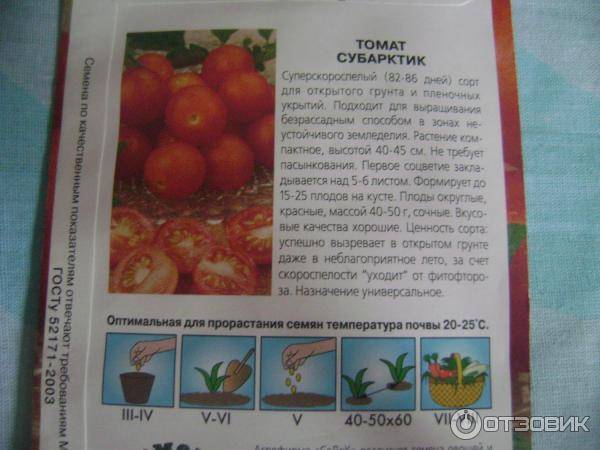 Описание томата Субарктик, правила посадки и выращивание растения