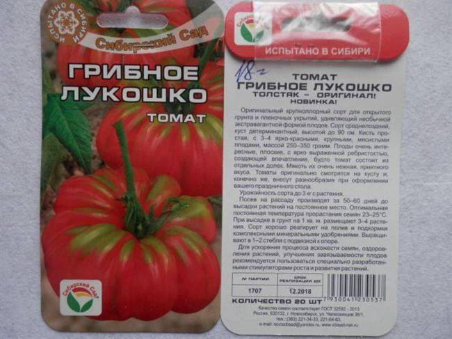 Сорт томатов бабушкино