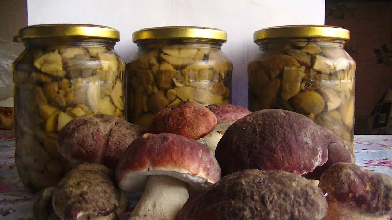 Блюда из сушеных моховиков. как готовить гриб моховик? рецепт приготовления грибов моховиков
