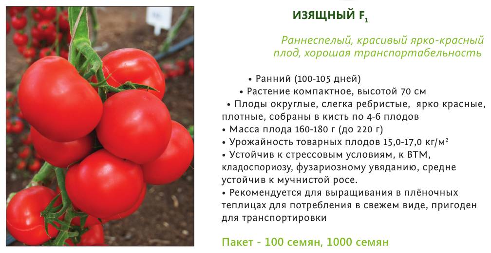 Полудетерминантные сорта томатов каталог