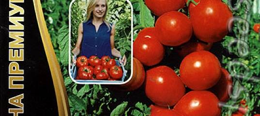 Урожайный томат «спасская башня»: выращивание и уход