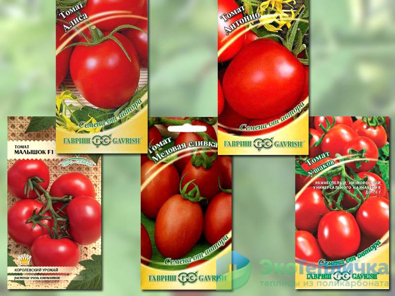 Лучшие сорта томатов для теплиц из поликарбоната.