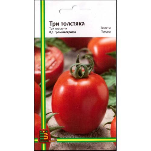 Сорт ранних томатов толстый джек: характеристика и описание, отзывы и фото огородников, особенности выращивания и урожайность сорта