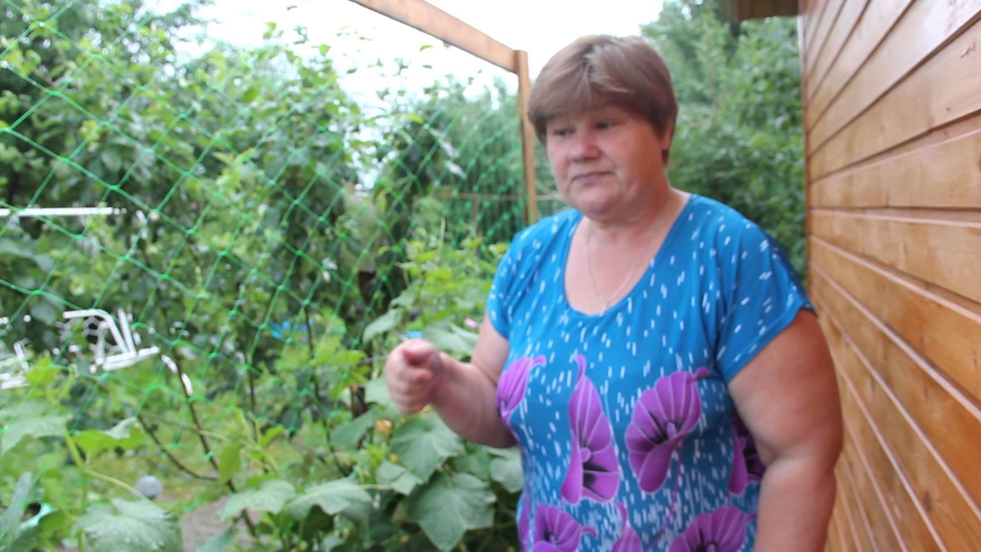 Посадка помидор в улитку юлии миняевой как выращивать видео