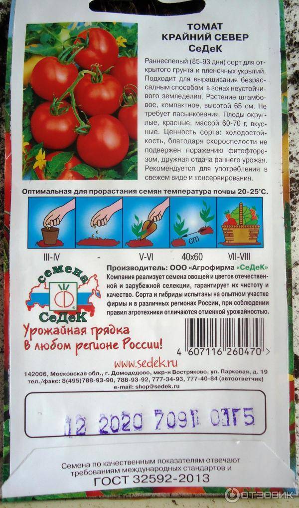 Сорт томатов крайний север: описание, характеристика, фото и отзывы тех, кто сажал, а также особенности выращивания