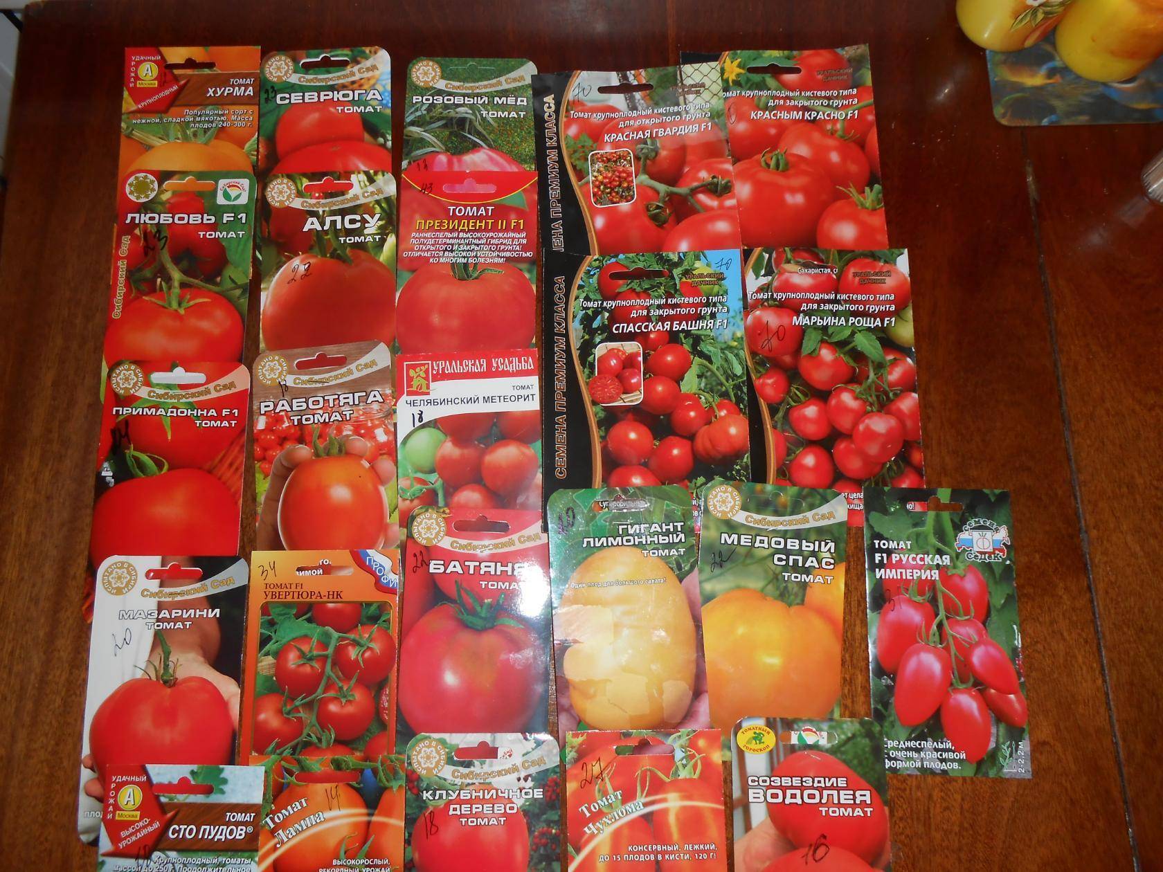 Описание сорта томата марьина роща, особенности выращивания и ухода