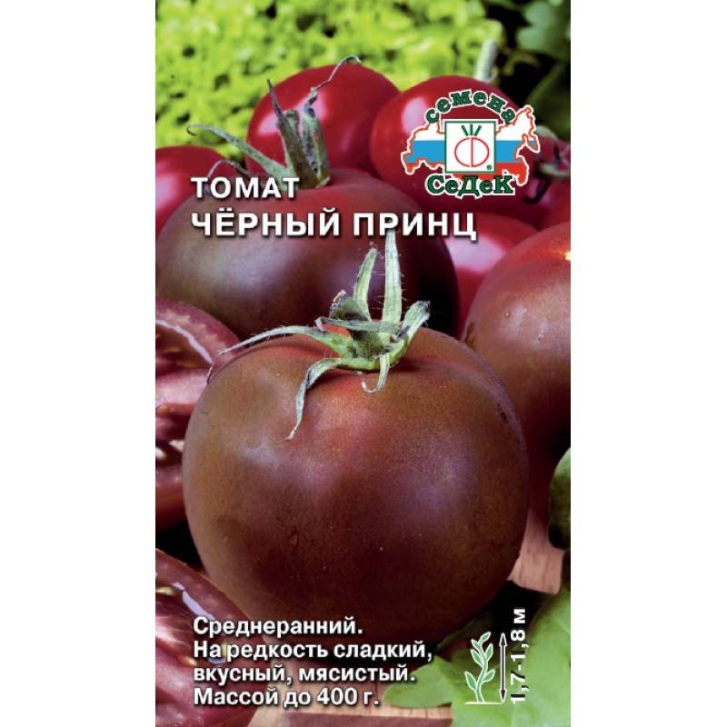 Томат черный принц: отзывы, фото, описание оригинального сорта помидоров, урожайность, посадка и уход, особенности выращивания