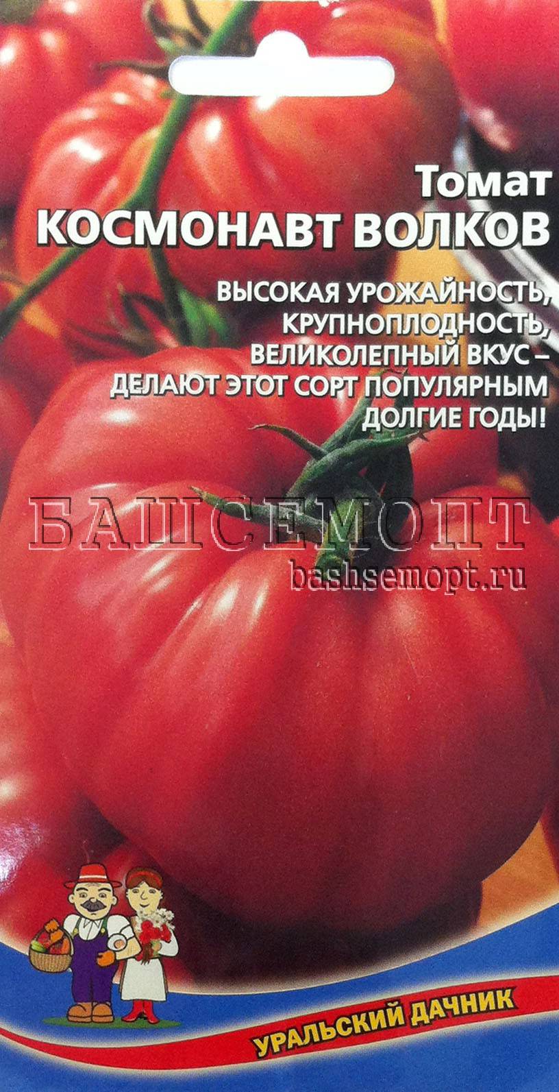 Сорт томатов космонавт волков: особенности, характеристики, отзывы