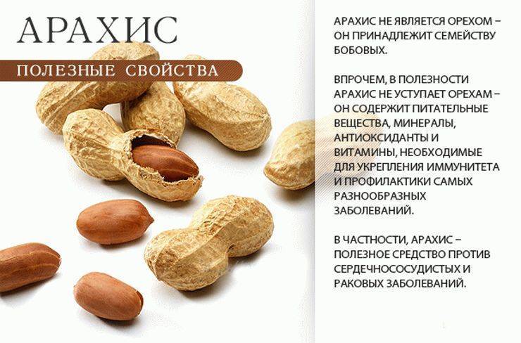 Народная медицина: wiki: грецкий орех
