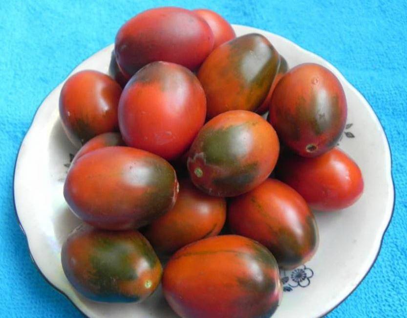Необычный томат шоколадный: описание сорта, нюансы выращивания