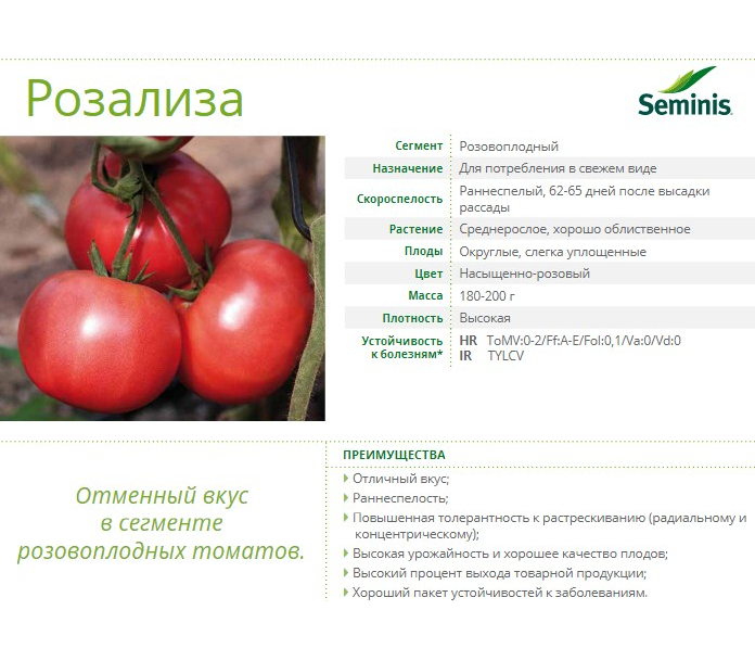 Описание томата Яна и выращивание детерминантного сорта