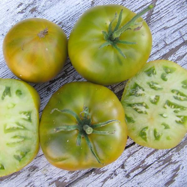 Самые вкусные и урожайные зеленые помидоры: сорта, фото, отзывы, видео