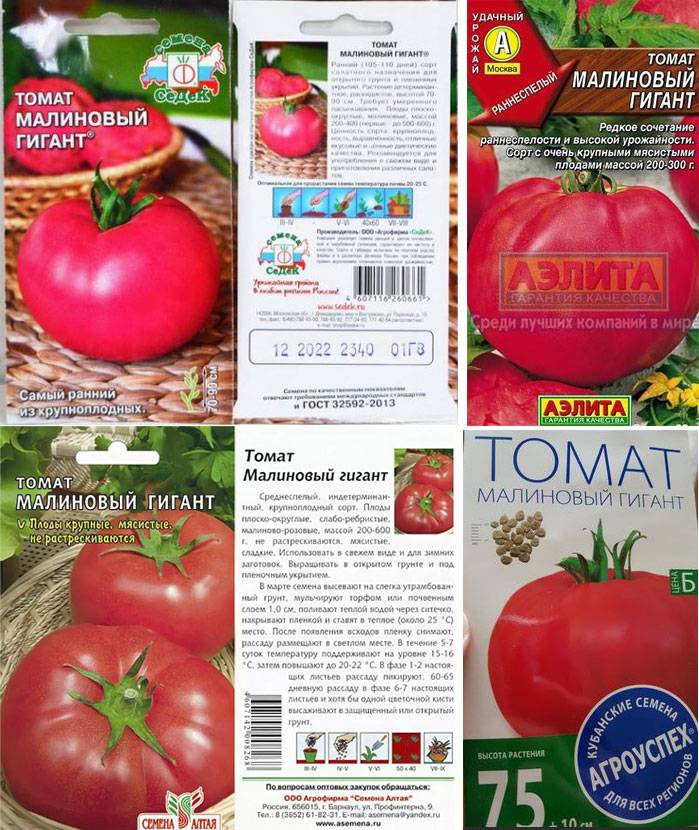 Томат малиновый гигант f1: характеристика и описание сорта, отзывы тех кто сажал помидоры об их урожайности, видео и фото семян седек