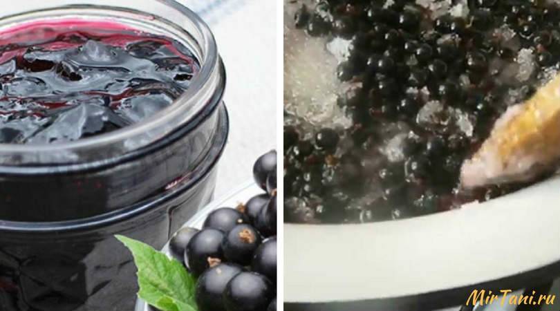 Варенье из черной смородины на зиму - топ самых вкусных рецептов
