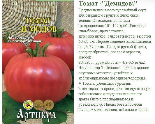 Томат дикая роза: характеристика и описание сорта помидоров, его преимущества и недостатки и отзывы дачников