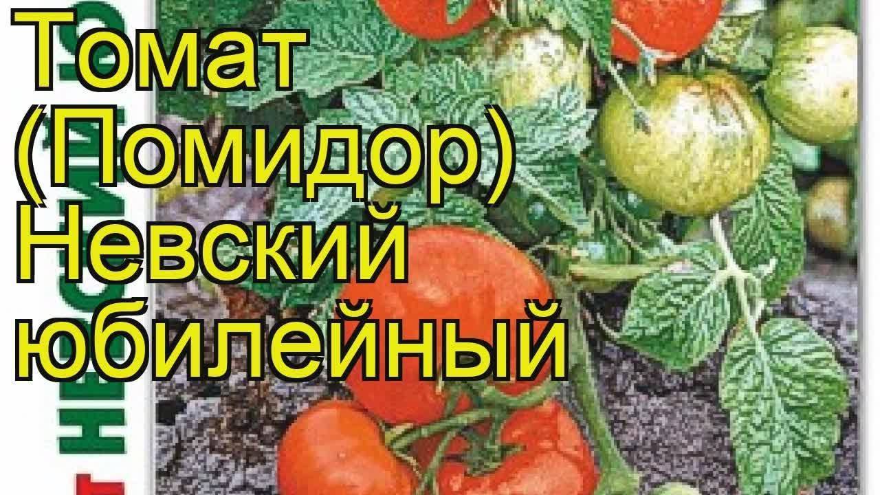 Детерминантные сорта томатов: лучшие сорта для открытого грунта и теплиц :: syl.ru