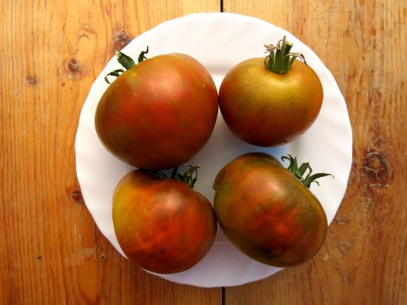 Описание томата заржавевшее сердце эверетта и агротехника выращивания сорта