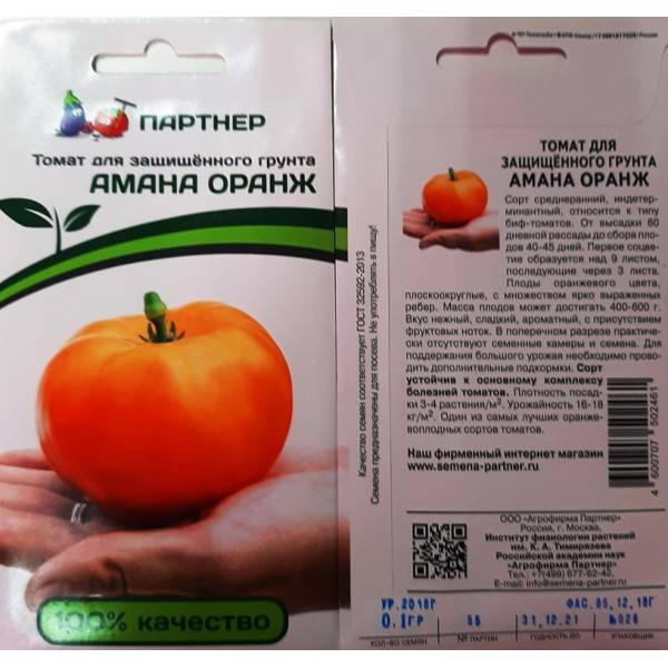 Описание плодов томата Оранж и агротехника выращивания сорта