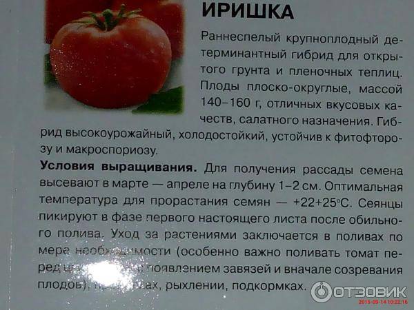ᐉ томат "суперприз f1": описание, распространение и урожайность сорта - orensad198.ru