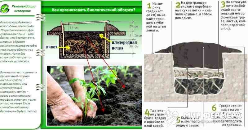 Какая почва нужна для выращивания огурцов в теплице: наилучшие параметры, состав, методы повышение плодородности — фазенда