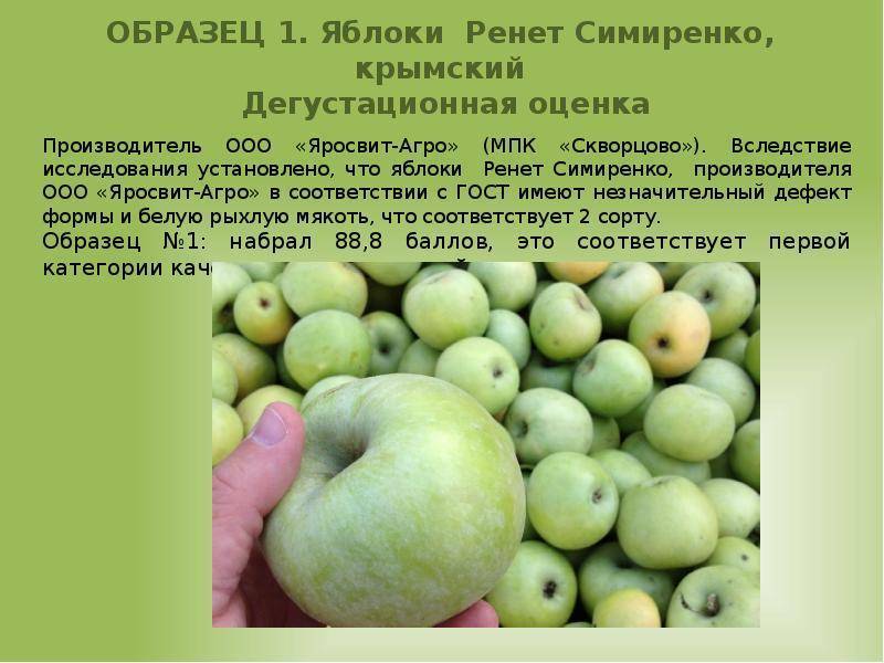 Яблоки семеренко фото и характеристика сорта, полезные свойства