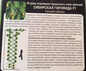 Огурец гирлянда f1: описание и характеристика сорта, урожайность с фото