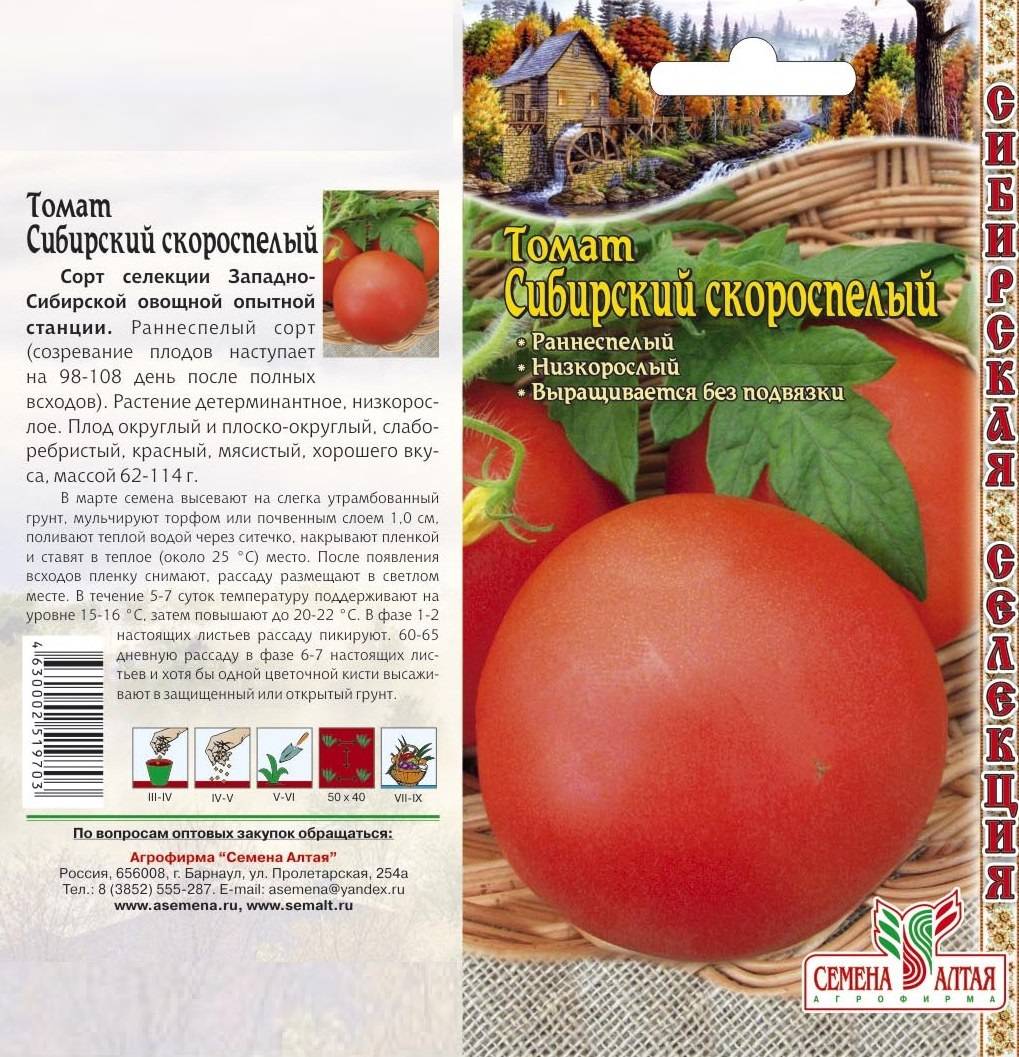 Сорт томата красный петух