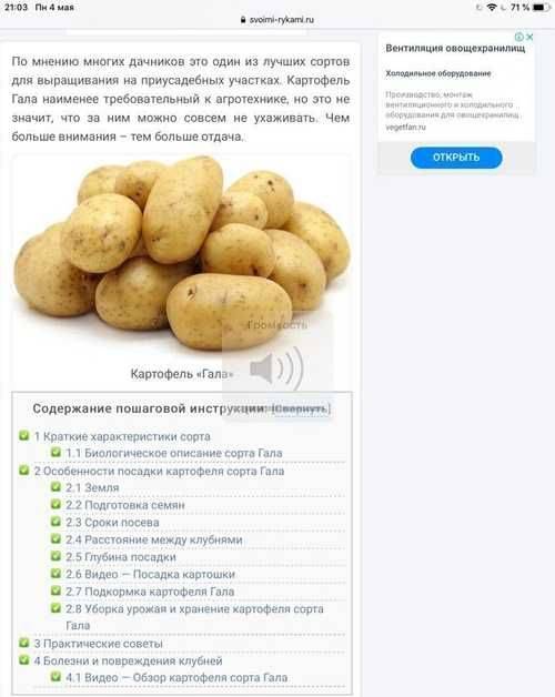 Гулливер: описание сорта картофеля, характеристики, агротехника