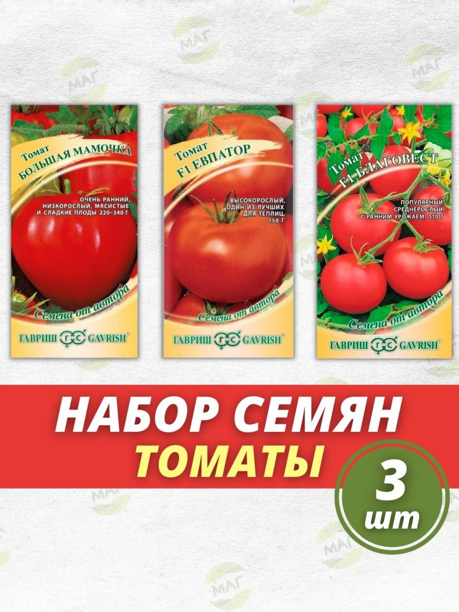 Помидоры благовест (45 фото): описание сорта, урожайность, томата, отзывы