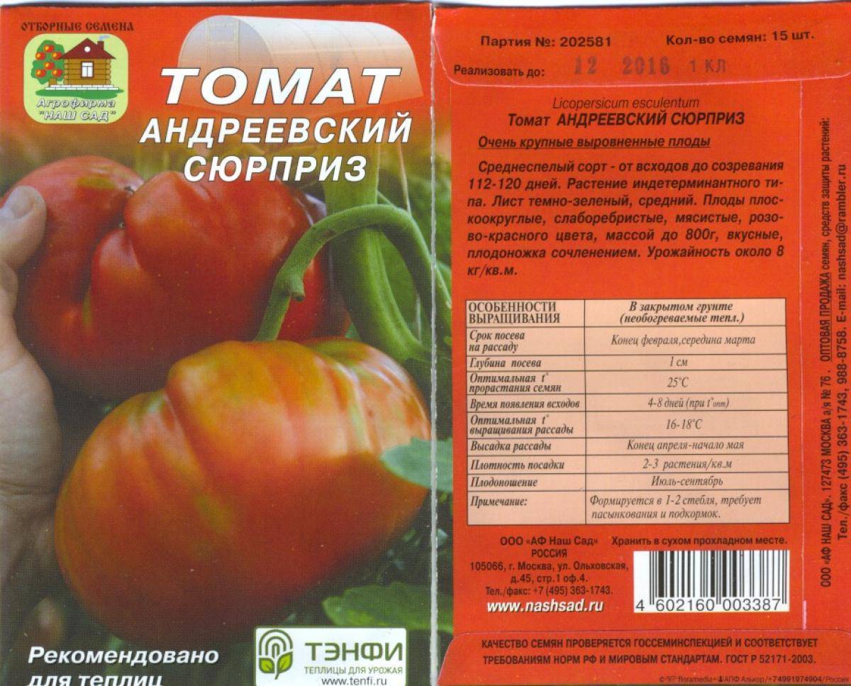 Томат андреевский сюрприз: описание крупноплодного сорта сибирской селекции, отзывы, фото, урожайность, посадка на рассаду,выращивание, уход