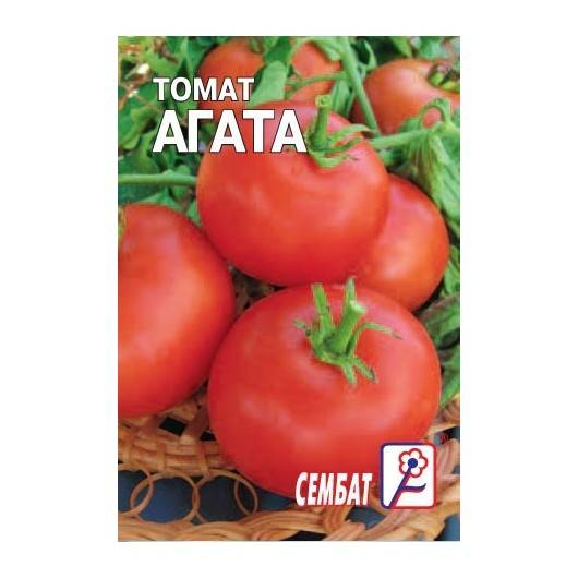 Томат агата: характеристика и описание сорта, отзывы садоводов с фото