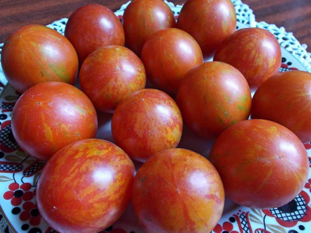 Томат пасхальное яйцо: выращивание и уход за помидорами