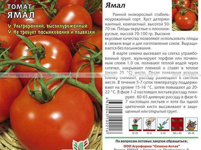 Выбор сорта томатов: ультрадетерминантные, детерминантные полудетерминантные