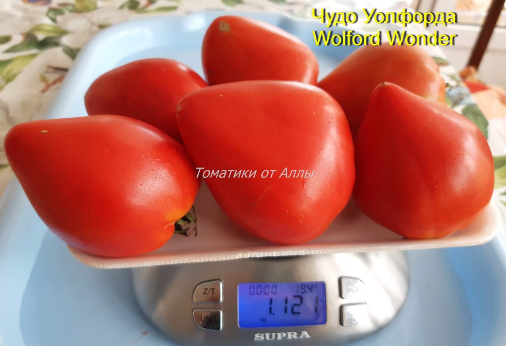 Томат чудо уолфорда (wolford wonder): отзывы об урожайности, фото помидоров, характеристика и описание сорта