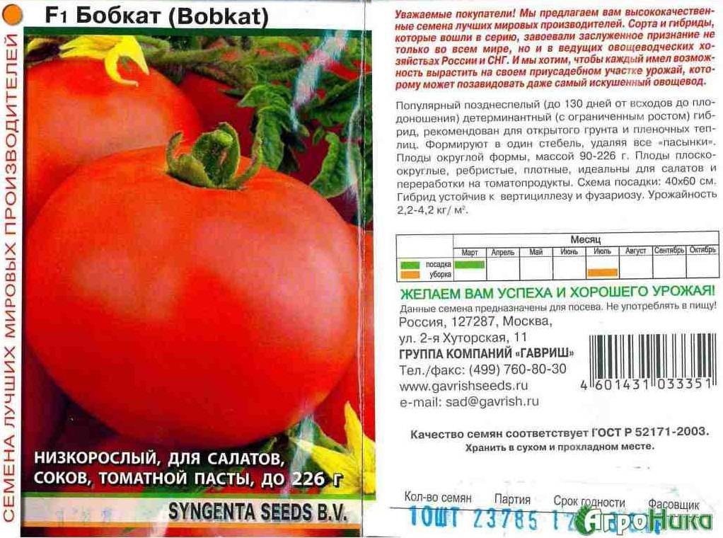 Томат «факел»: описание и характеристики сорта помидор, рекомендации по выращиванию и фотографии плодов