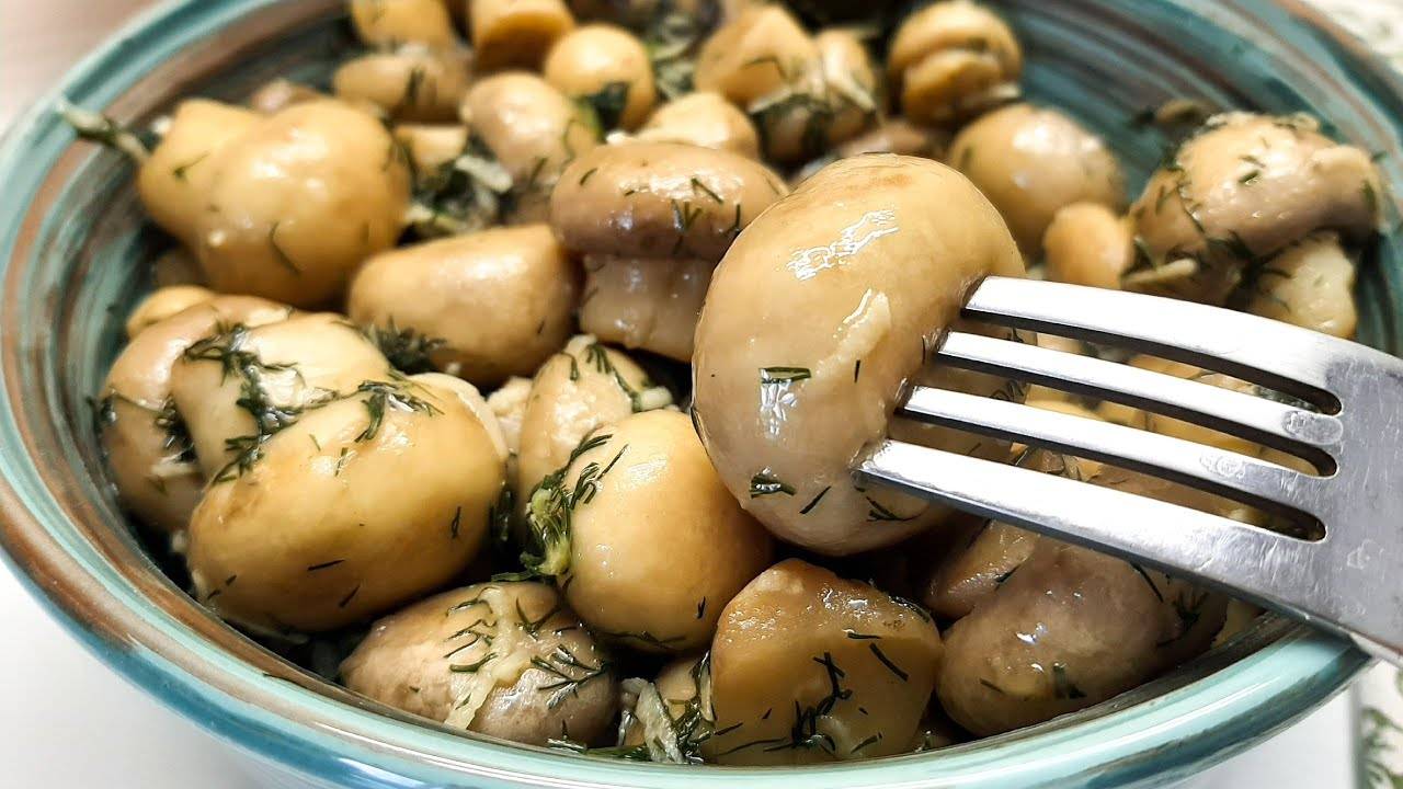 Как засолить шампиньоны дома: рецепты соленых грибов для праздничного стола | хозяйка усадьбы
