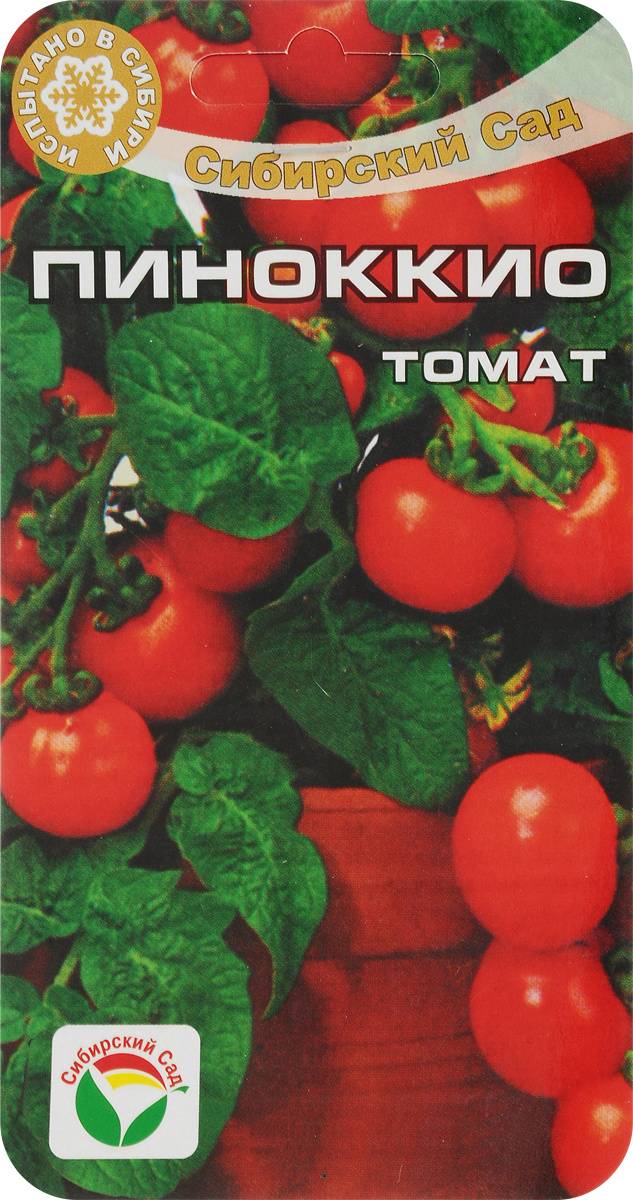 Томат «пиноккио»: характеристика и описание сорта, фото, урожайность, выращивание и уход