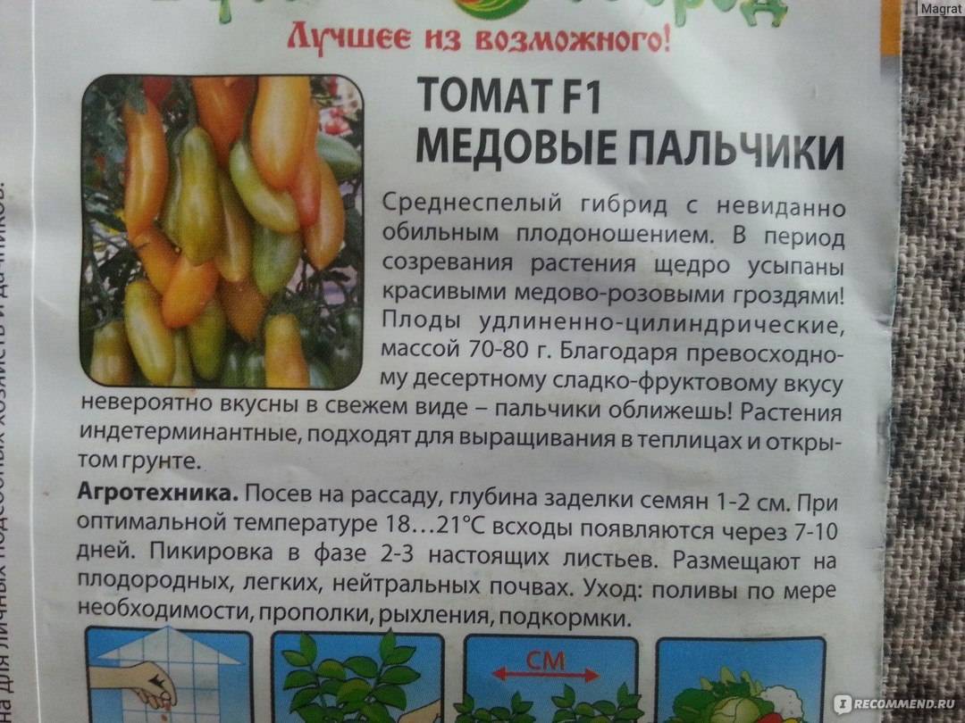 Основные болезни и вредители томатов в открытом грунте: описание и лечение
