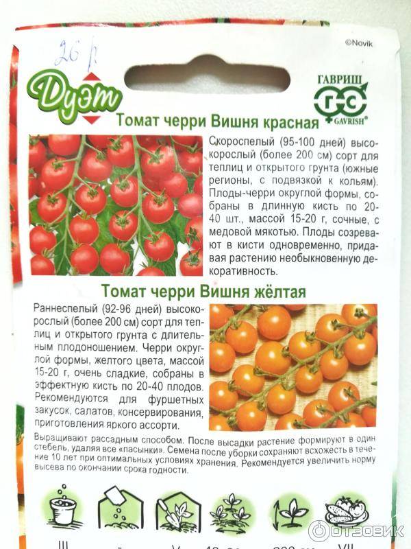 Томат вишня красная: описание сорта, отзывы (13), фото, урожайность | tomatland.ru