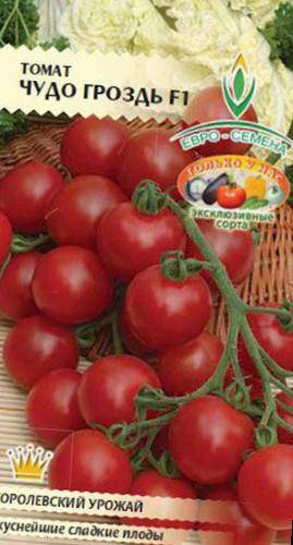 Сорт томата бурая гроздь (f1): фото, отзывы, описание, характеристики.