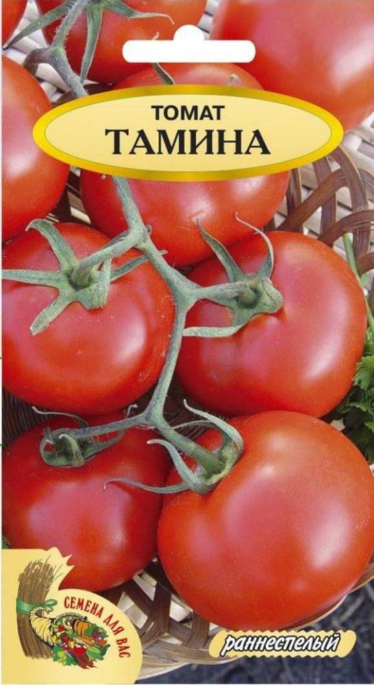 Описание раннеспелых томатов Тамина и особенности выращивания сорта