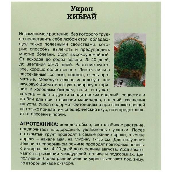 Укроп кибрай: характеристика и описание сорта, фото, аналоги, а также основные правила выращивания и ухода в открытом грунте