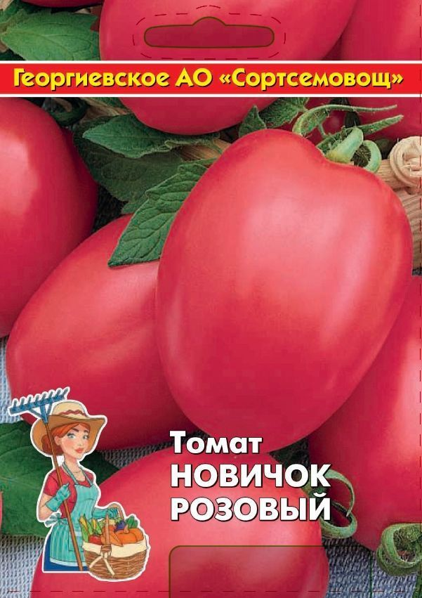 Томат вернер: характеристика и описание сорта, отзывы садоводов с фото