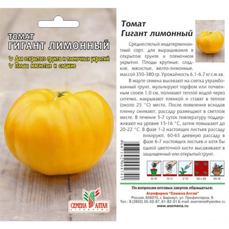 Томат "оранжевый гигант": описание сорта, фото плодов, особенности, урожайность помидор