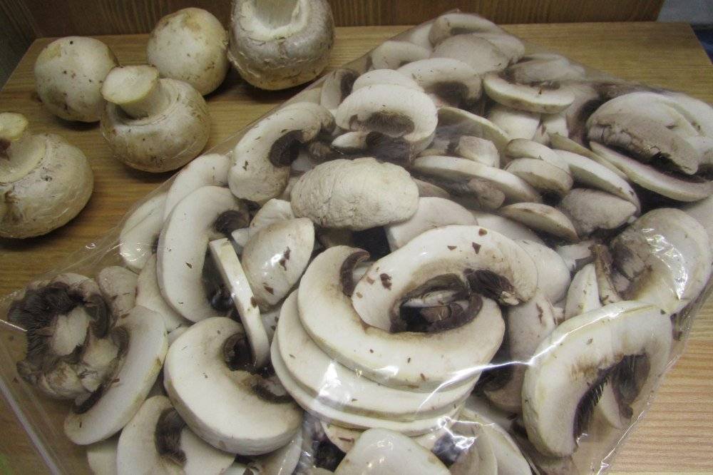 Как правильно заморозить грибы на зиму – заморозка грибов в домашних условиях » сусеки