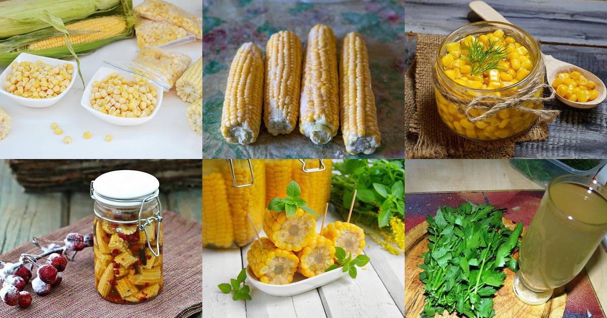 Всё о том, как консервировать кукурузу в домашних условиях на зиму: лучшие рецепты