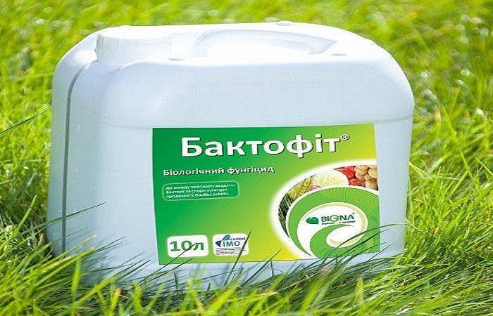 Бактофит, сп (фунгициды, пестициды) — agroxxi