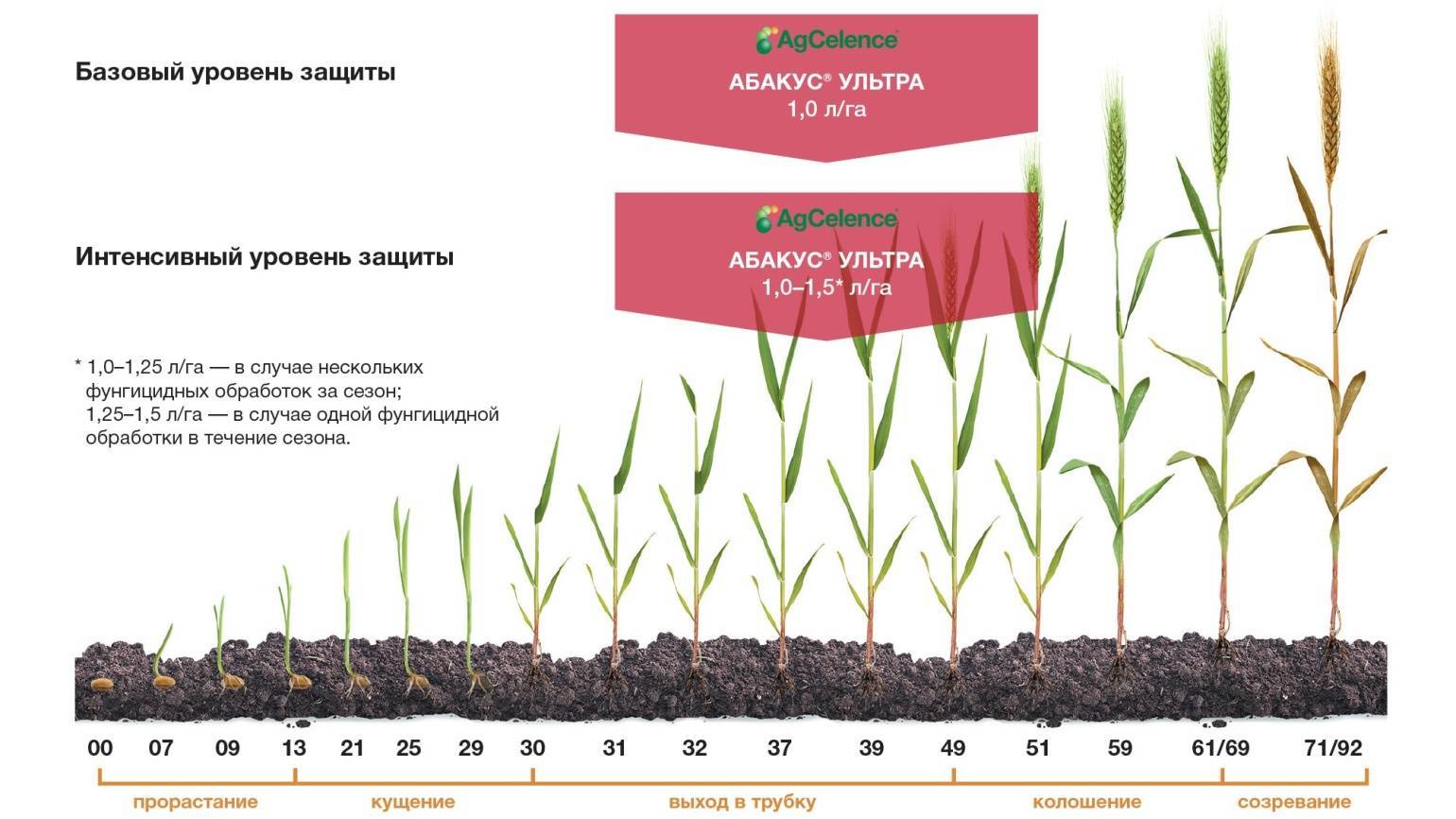 Дианат гербицид: надёжная защита для растений и зерновых культур